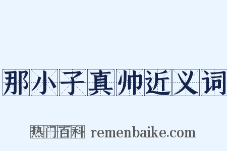 那小子真帅近义词是什么意思的图片